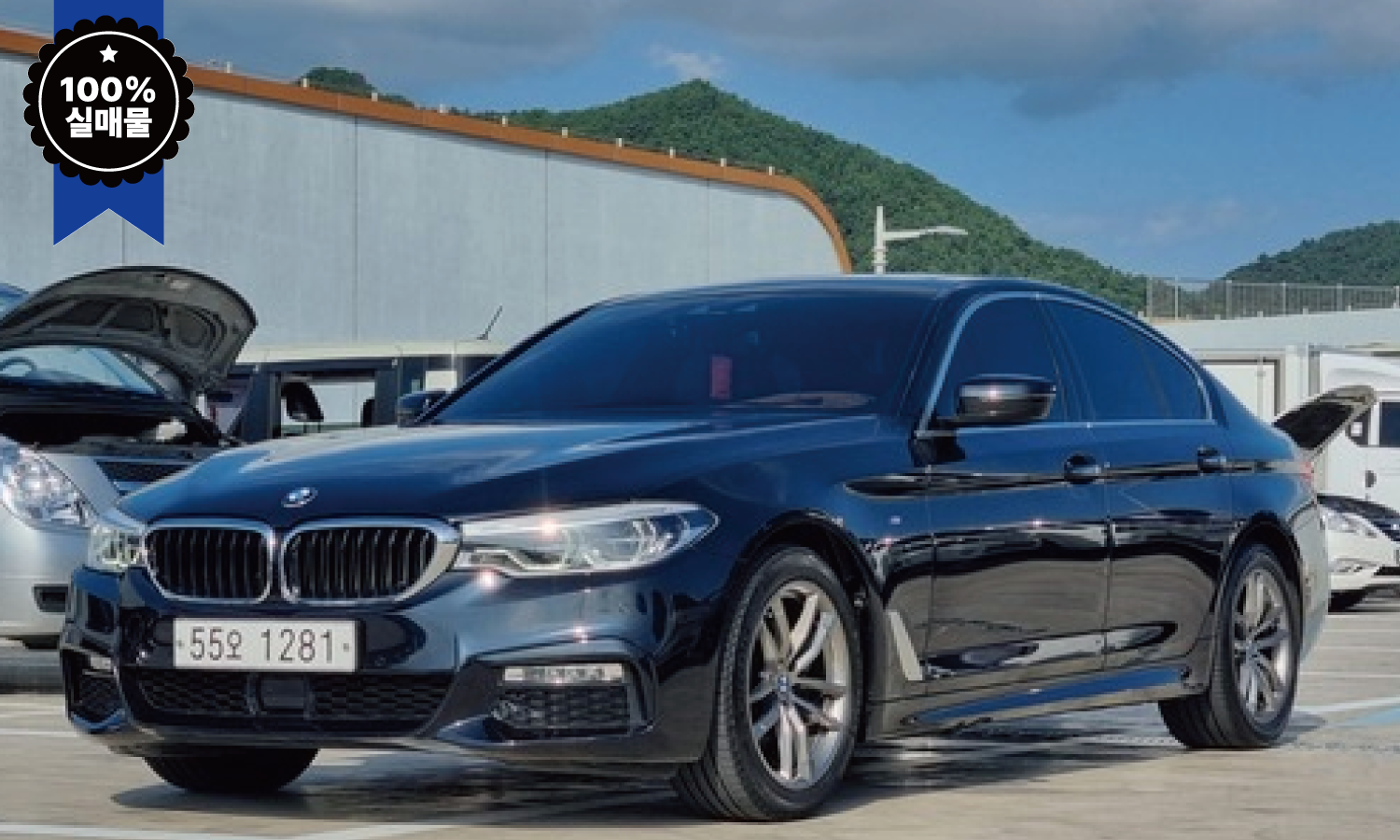 BMW 5시리즈(G30) 520d M 스포츠 5인승
