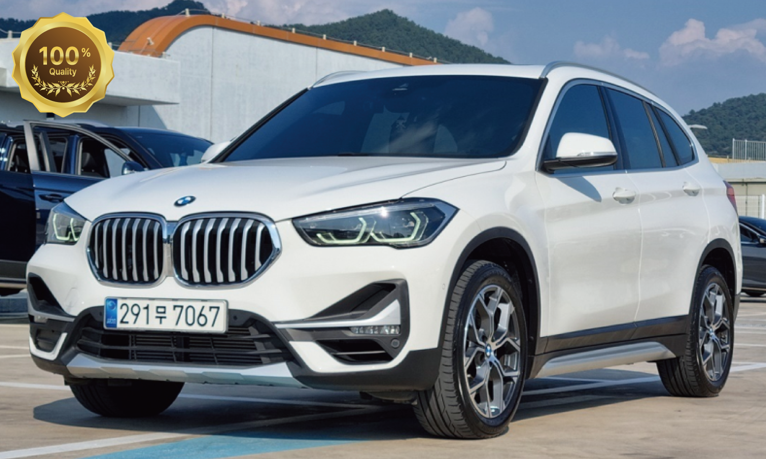 BMW X1 (F48) xDrive 20i xLine