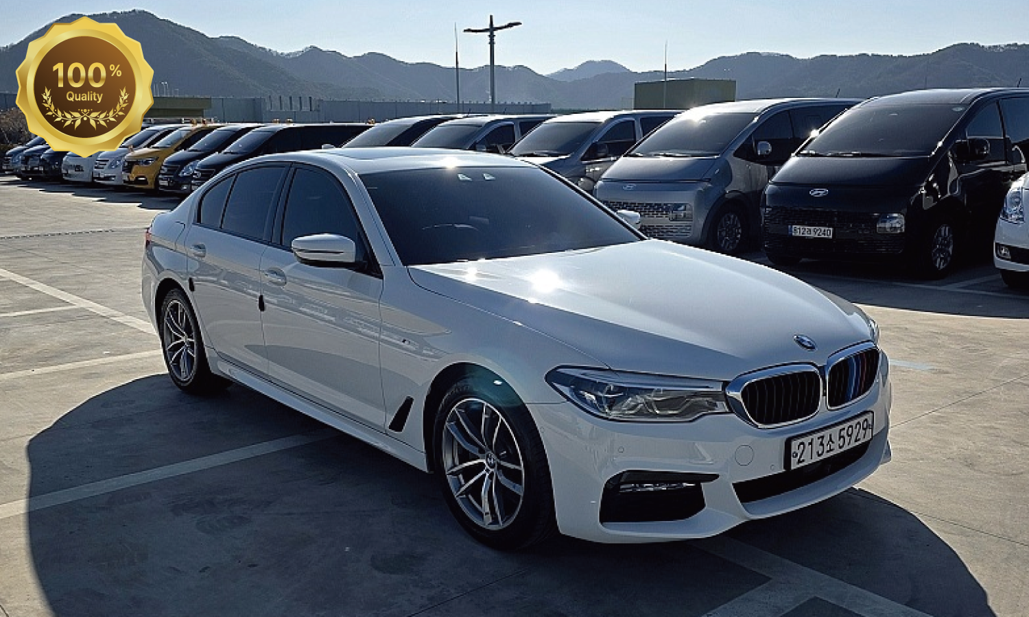 BMW 5시리즈(G30) 520d xDrive M 스포츠 플러스