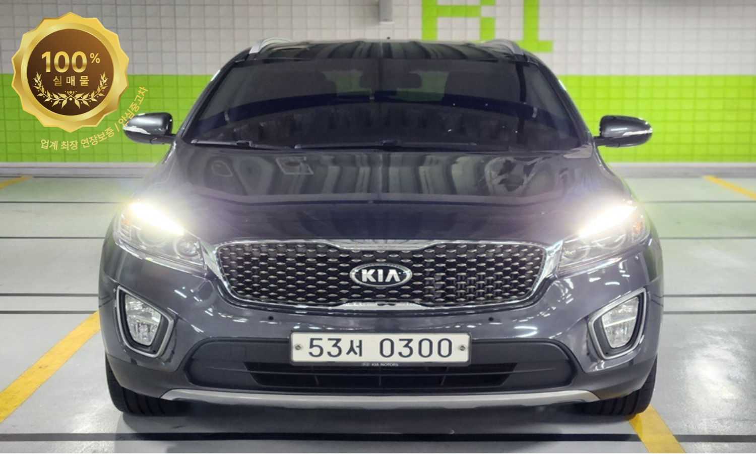 기아 뉴 쏘렌토 R 2.0 디젤 2WD 노블레스